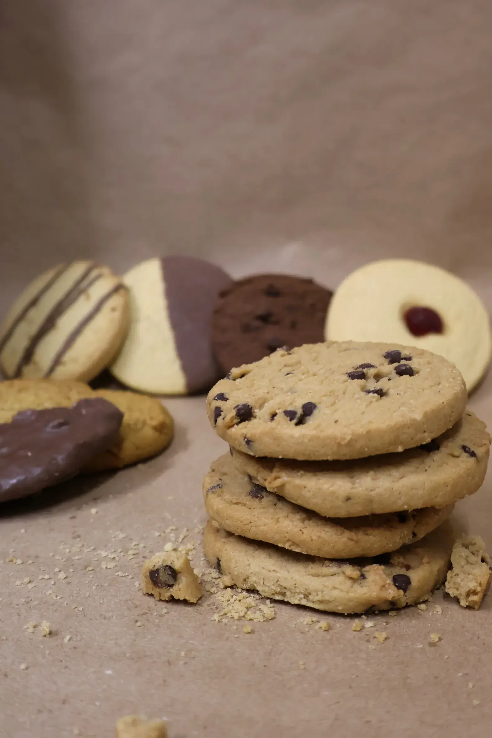 biscuit