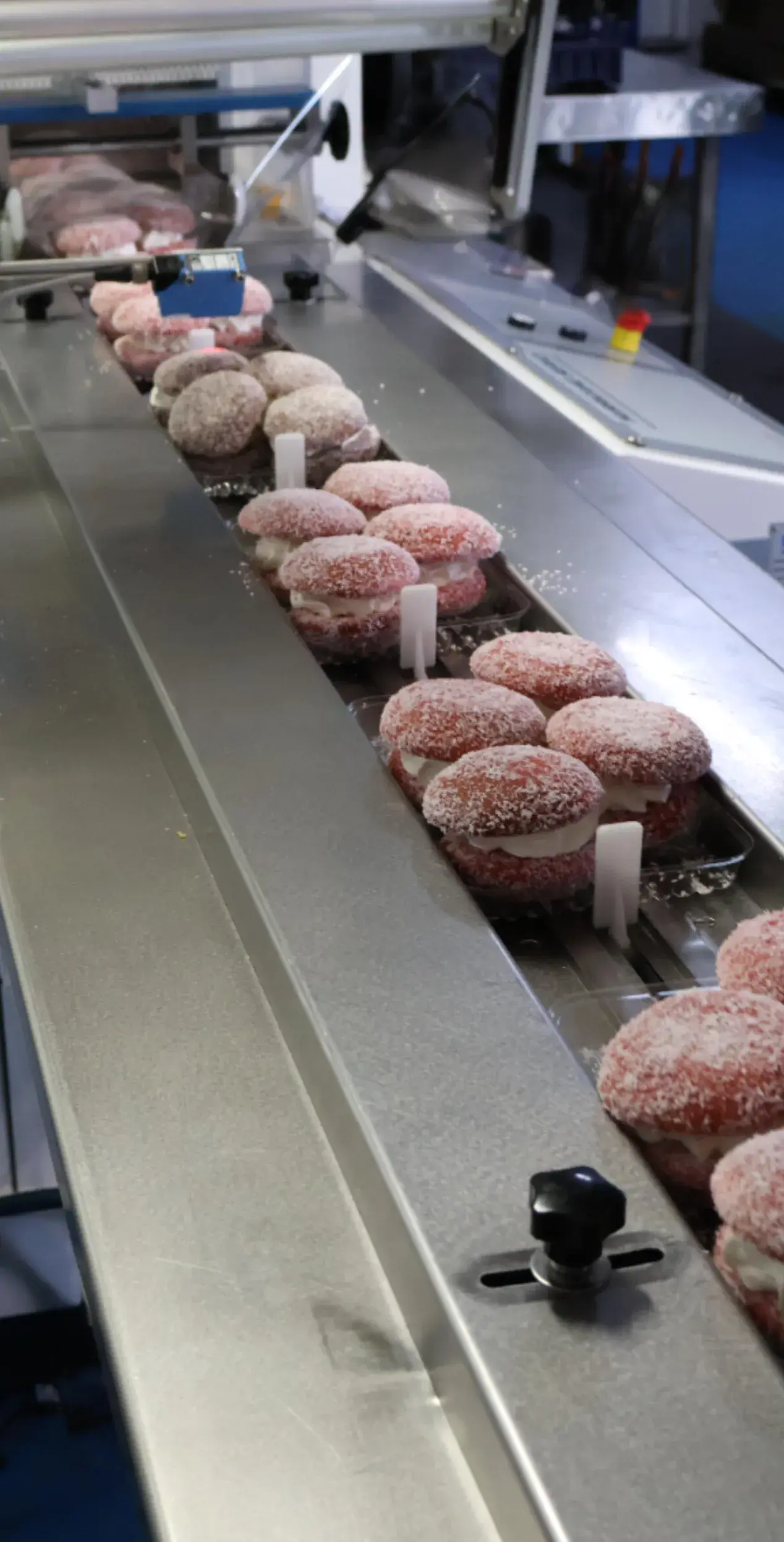 muffins production line
